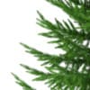 3d Norway Spruce