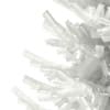 3d Norway Spruce
