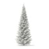 3d Norway Spruce