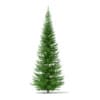 3d Norway Spruce