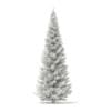 3d Norway Spruce