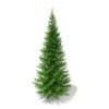 3d Norway Spruce