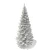 3d Norway Spruce
