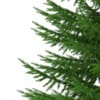 3d Norway Spruce