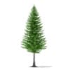 CGAxis Models Volume 69 Trees VIII - Image 18