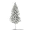 3d Norway Spruce
