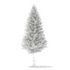 3d Norway Spruce
