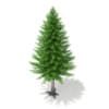3d Norway Spruce