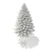3d Norway Spruce