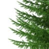 3d Norway Spruce