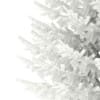 3d Norway Spruce