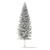 3d Norway Spruce