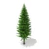3d Norway Spruce