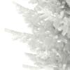 3d Norway Spruce