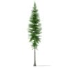 CGAxis Models Volume 69 Trees VIII - Image 20
