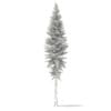 3d Norway Spruce