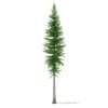 3d Norway Spruce