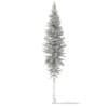 3d Norway Spruce