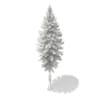 3d Norway Spruce