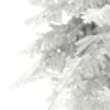 3d Norway Spruce