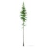 CGAxis Models Volume 69 Trees VIII - Image 21