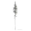 3d Norway Spruce