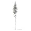 3d Norway Spruce