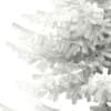 3d Norway Spruce