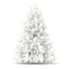 3d Blue Spruce