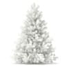 3d Blue Spruce