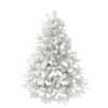 3d Blue Spruce