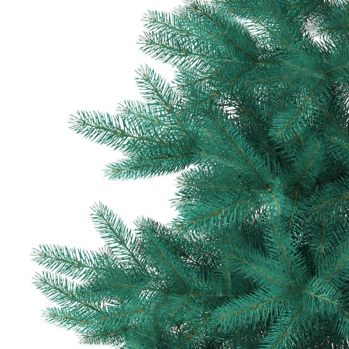 3d Blue Spruce