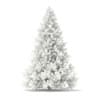 3d Blue Spruce