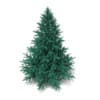 3d Blue Spruce
