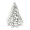 3d Blue Spruce