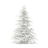 3d Blue Spruce
