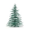 3d Blue Spruce