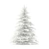 3d Blue Spruce