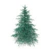 3d Blue Spruce