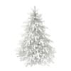3d Blue Spruce