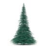 3d Blue Spruce