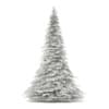 3d Blue Spruce