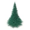 3d Blue Spruce