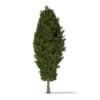 CGAxis Models Volume 69 Trees VIII - Image 30