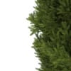 3d European Yew