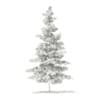 3d Blue Atlas Cedar