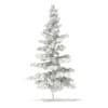3d Blue Atlas Cedar