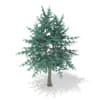 3d Blue Atlas Cedar