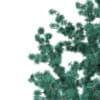 3d Blue Atlas Cedar