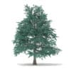 CGAxis Models Volume 69 Trees VIII - Image 35